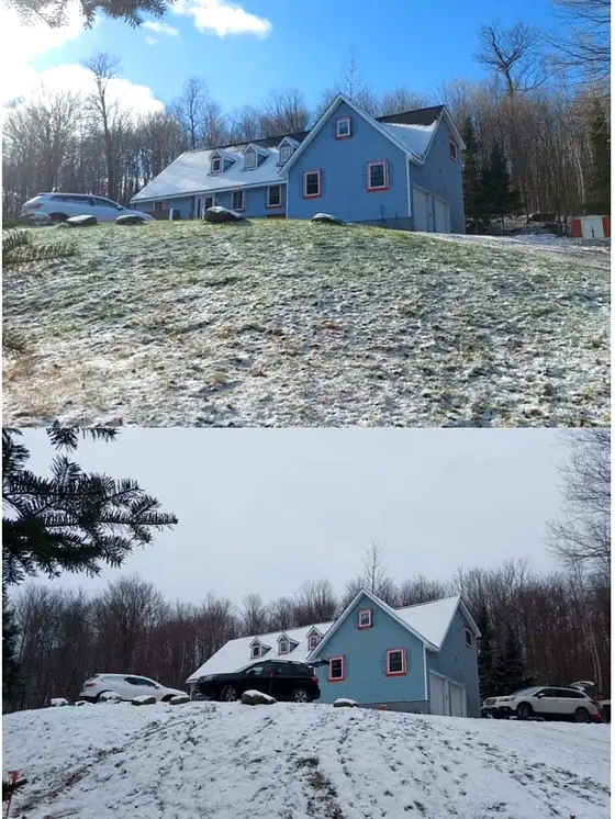 Before and after photos of a hillside beside a blue house, cleared of trees.